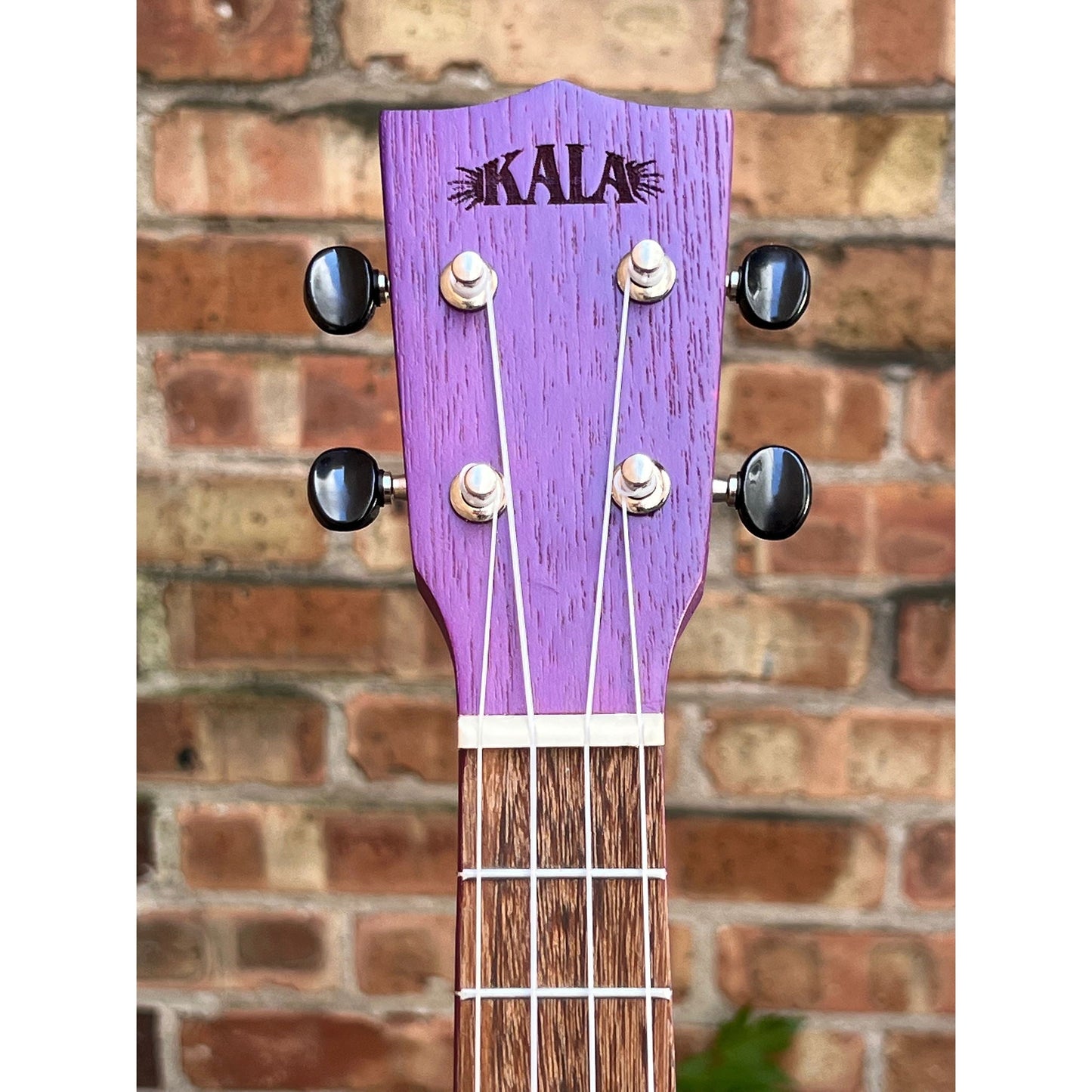 Kala Purple Stained Meranti Concert - Purple