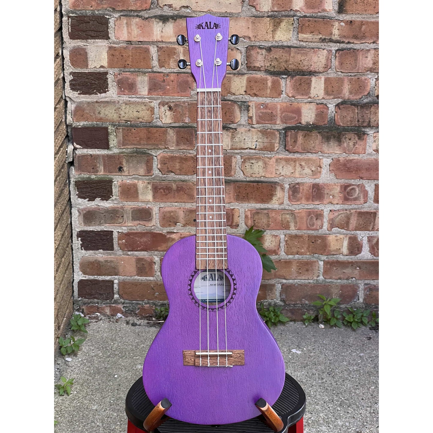 Kala Purple Stained Meranti Concert - Purple