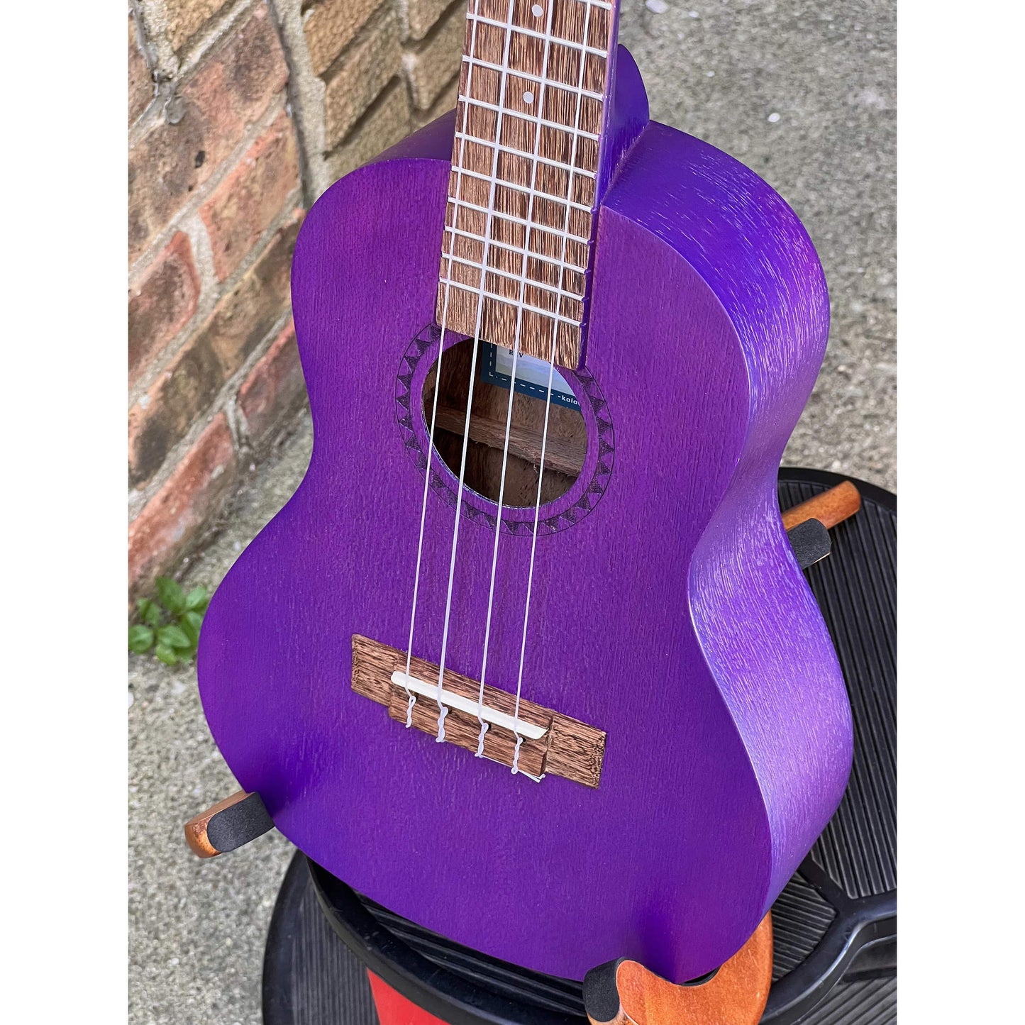 Kala Purple Stained Meranti Concert - Purple