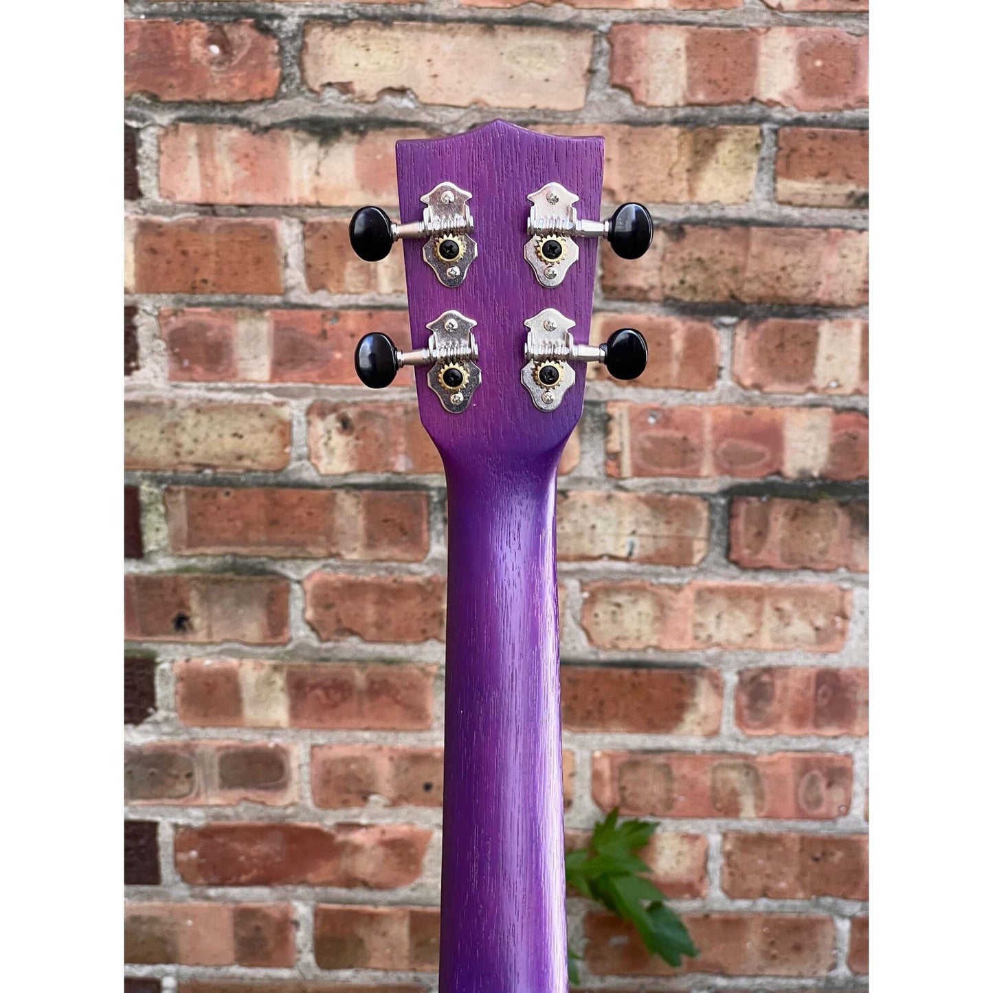 Kala Purple Stained Meranti Concert - Purple